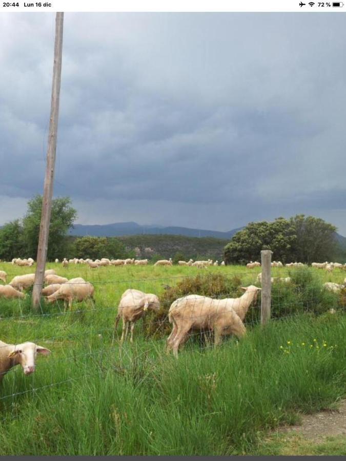 Vistas A La Montana En Un Pueblo Con Encanto. El Pueyo de Araguás Exterior photo