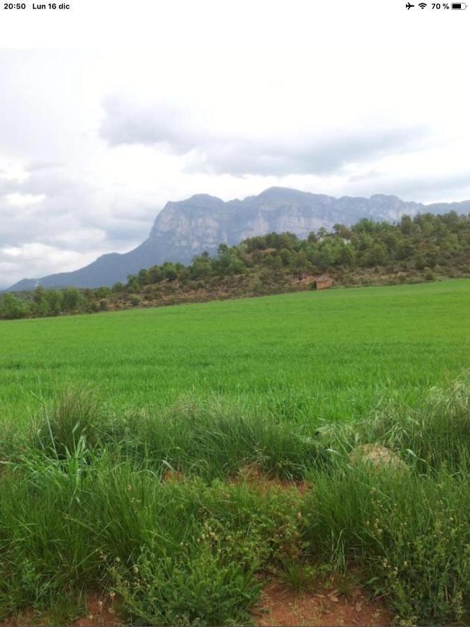 Vistas A La Montana En Un Pueblo Con Encanto. El Pueyo de Araguás Exterior photo